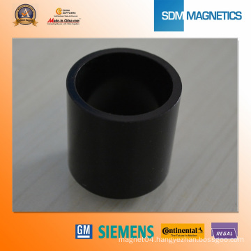 Powerful High Quality Neodymium Composite with Ts16949 Approved